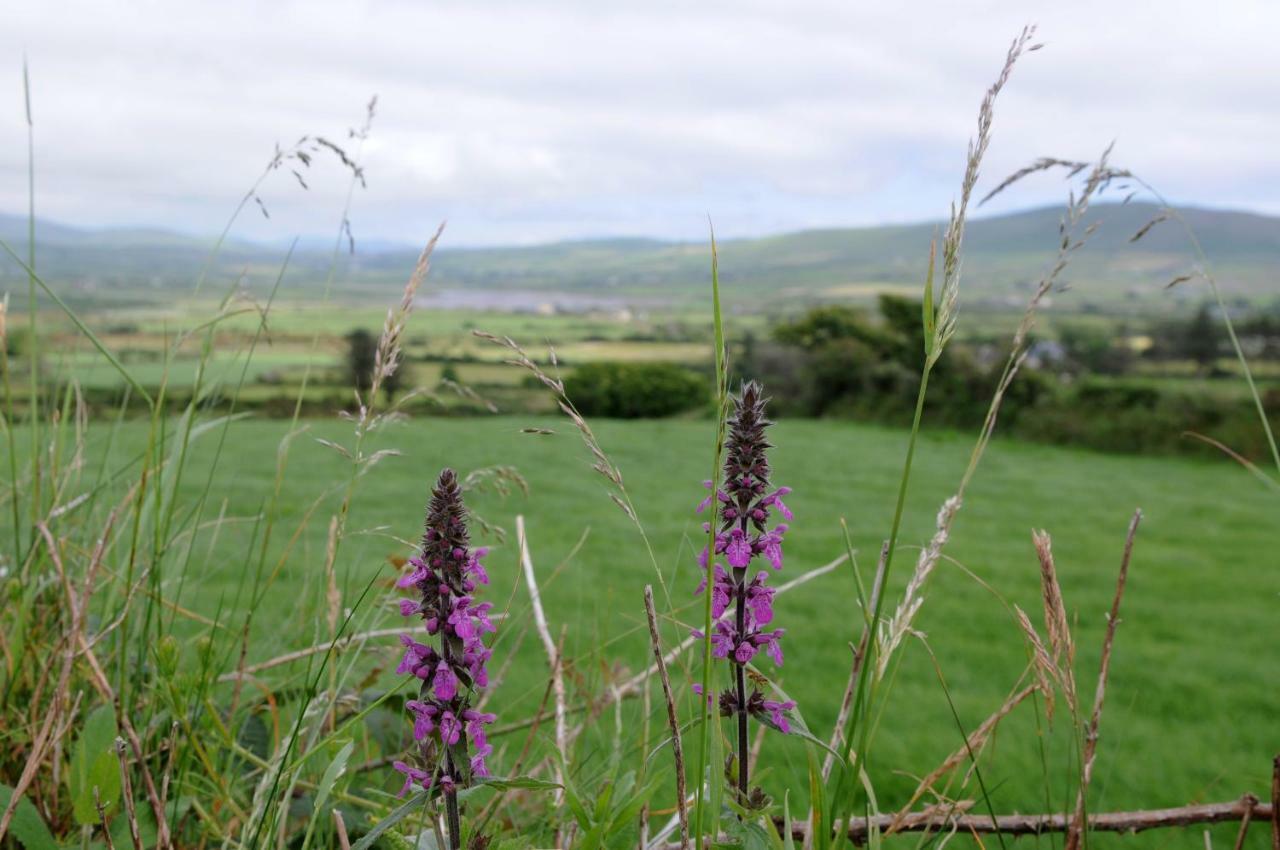 Short Strand Dingle Emlagh East Zewnętrze zdjęcie